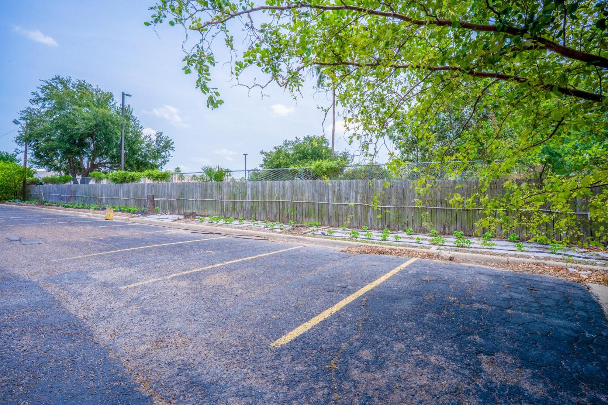 Lone Star Inn & Suites By Oyo Harlingen Tx Exterior photo